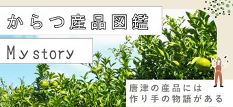 からつ産品図鑑