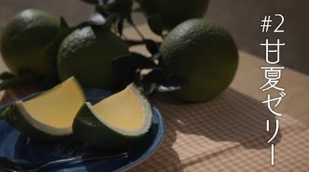 からつ産品図鑑《My Story》#2 甘夏ゼリーの画像