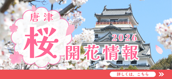 さくらの開花情報