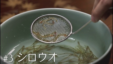 からつ産品図鑑《My Story》#3 シロウオ サムネイル画像
