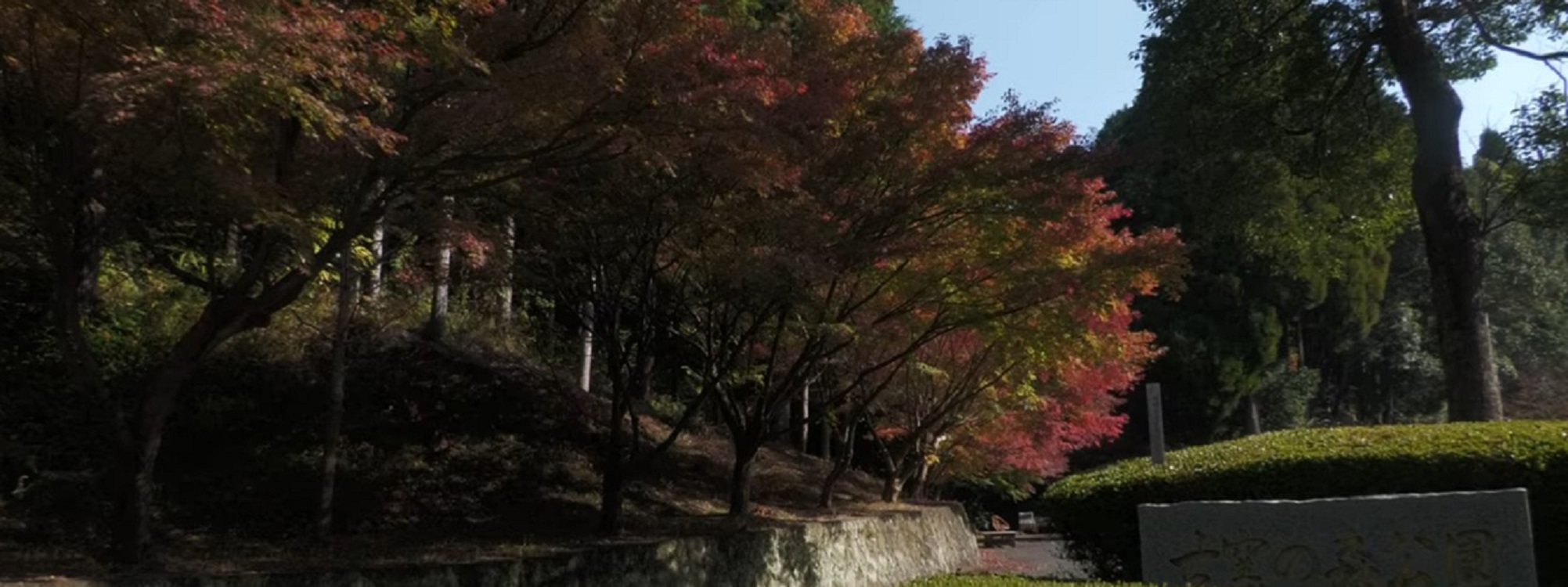 古窯の森公園の紅葉