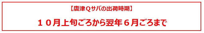 Qサバ出荷時期