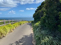 杉の原放牧場遊歩道の画像