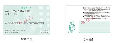 通知カード