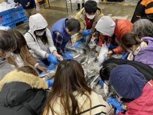 唐津お魚まつり会場