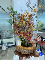 大きな花器に生けられた花