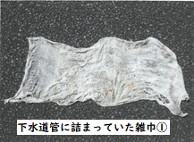 下水道管の詰まりの写真２