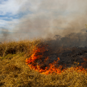 延焼拡大中の山火事の写真