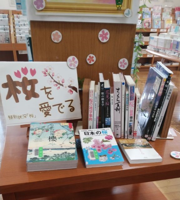 桜を愛でる