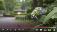古窯の森公園②