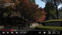 古窯の森公園①
