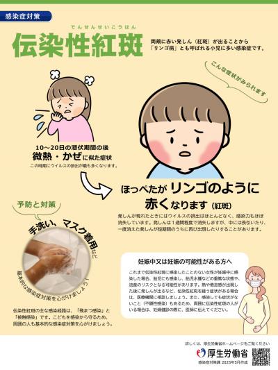 伝染性紅斑（リンゴ病）チラシ