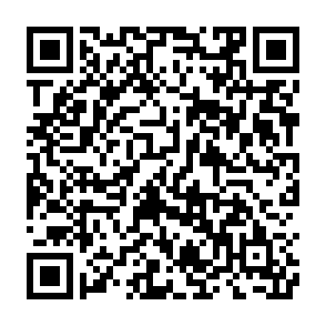「楽しいレクリエーション講座」申し込みフォーム