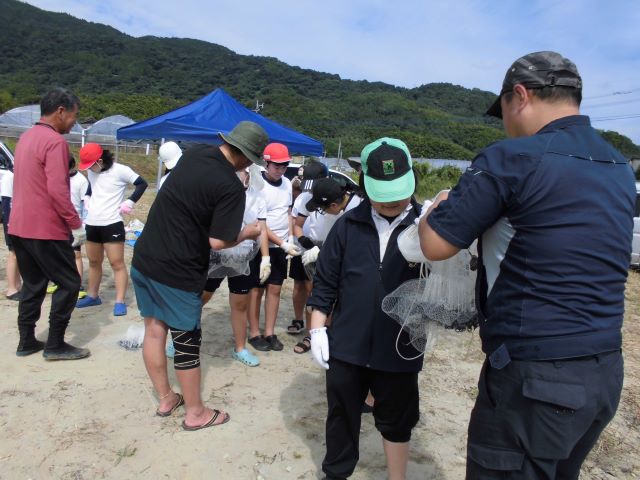 投げ方練習写真