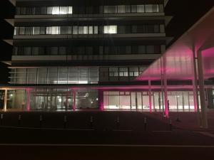 市役所玄関付近ライトアップ写真