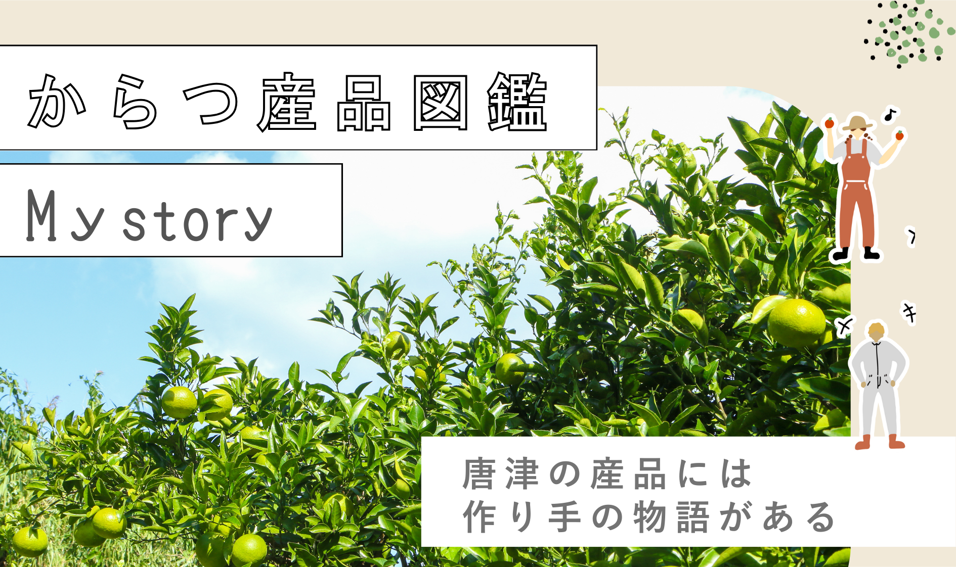 からつ産品図鑑　My Story　のチラシ