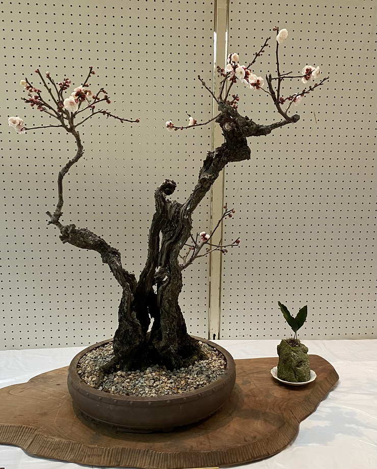 古木を生かした作品