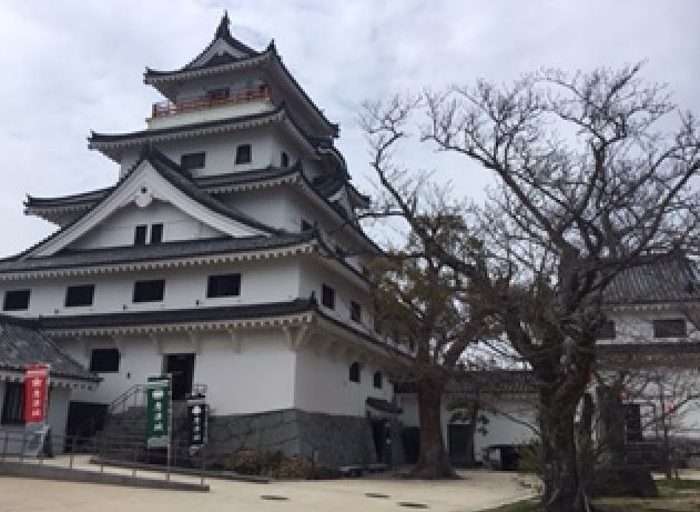 唐津城横の桜の写真