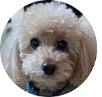 Kioくんママアイコン