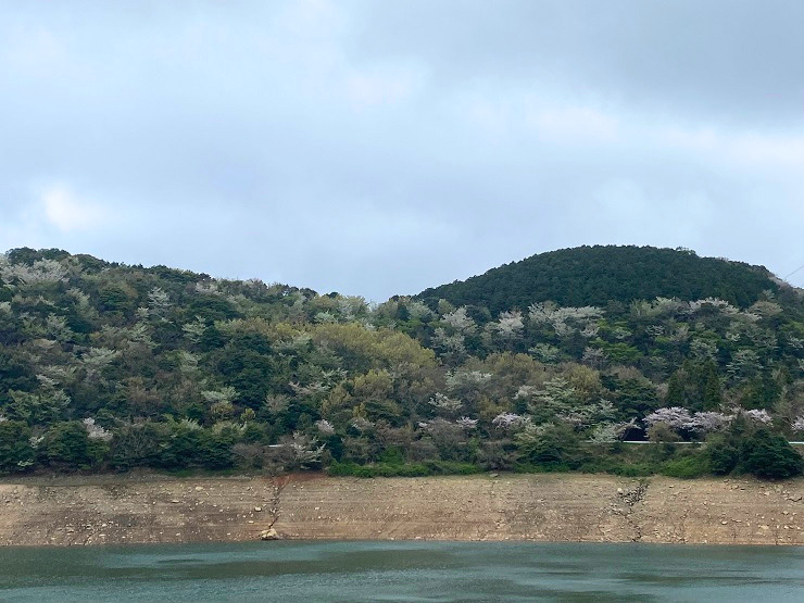 ダムの向こうの山の写真