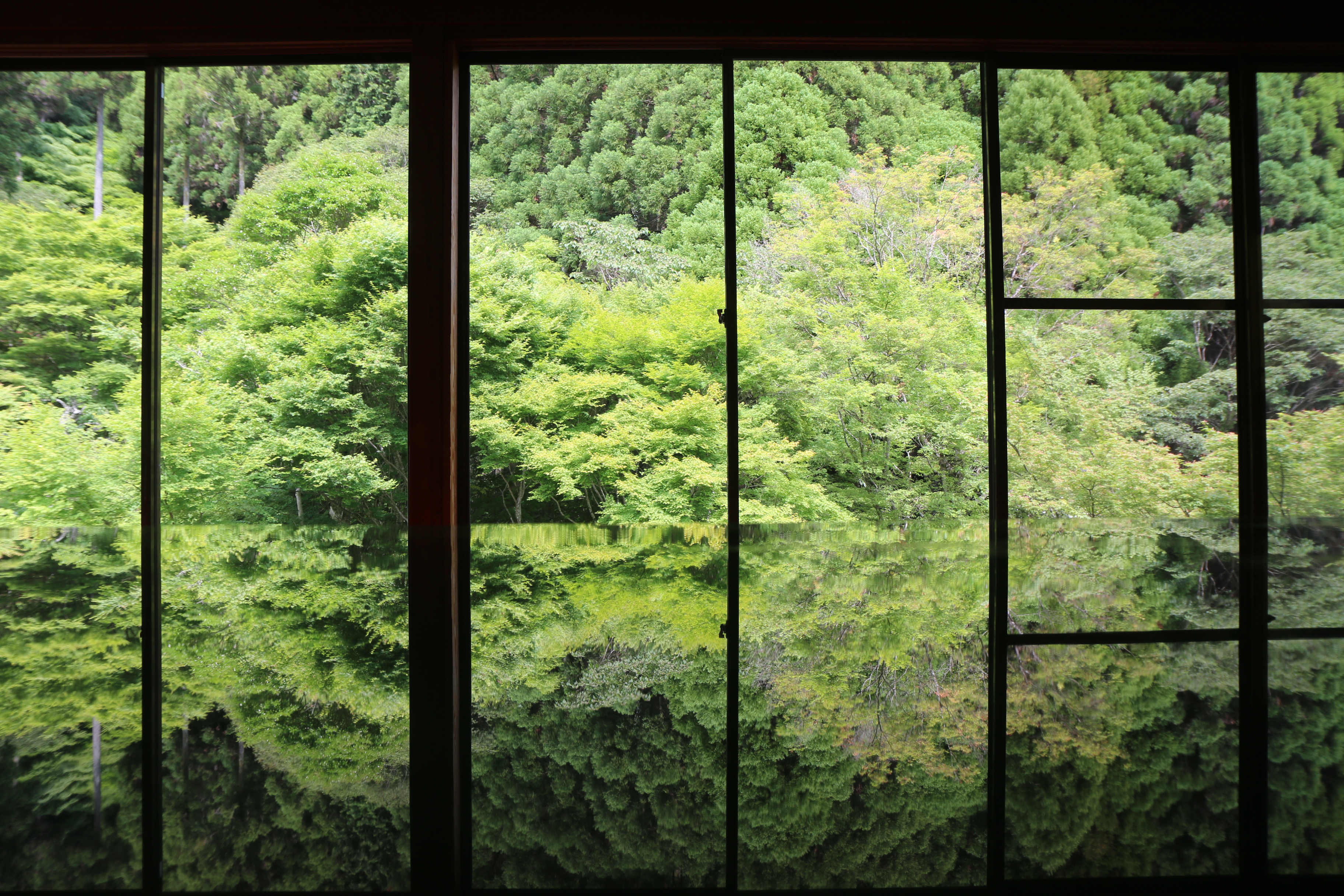 環境芸術の森　新緑