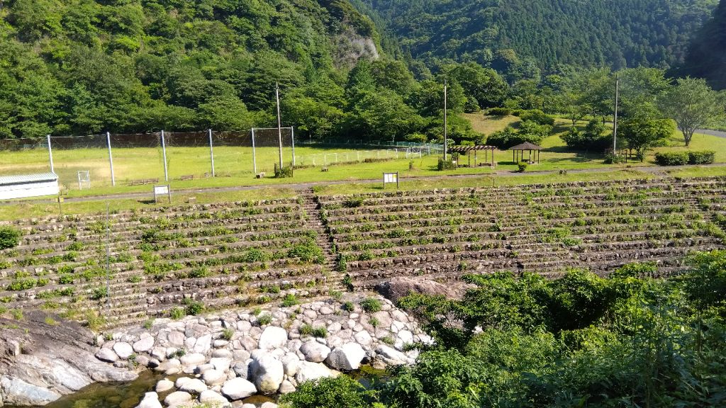 さよの湖キャンプ場