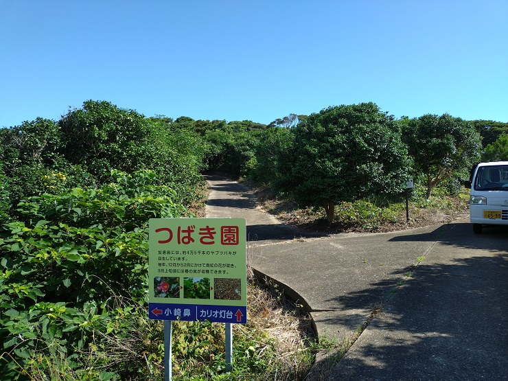 椿園写真