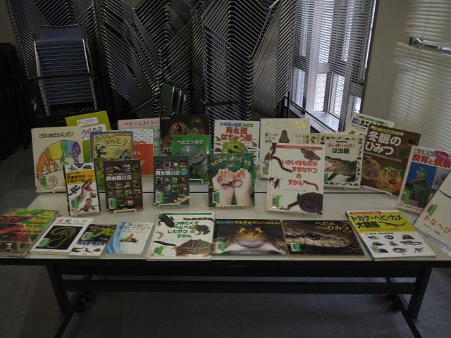 【図書館らしく！図鑑類も手にとれるように用意しました】の画像