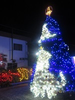 呼子イカすクリスマスツリーの画像