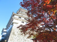 唐津城と紅葉の画像