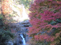 見帰りの滝の紅葉の画像