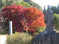 鏡山さよ姫と紅葉の画像