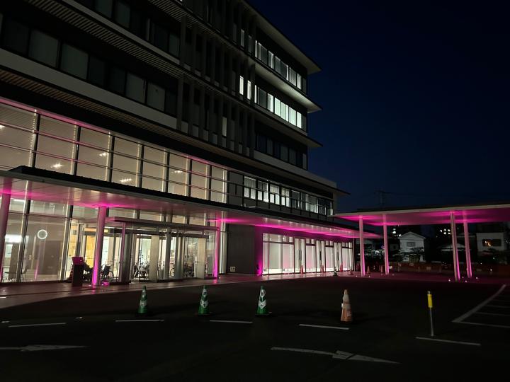 本庁パープルライト