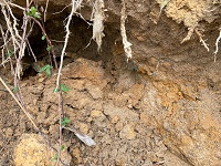 土砂崩れ現場の粘土の画像