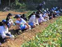さあ、掘りましょうの画像