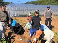 大きいのが掘れたぞの画像