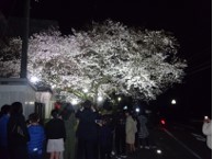 いつまでも眺めていたいの画像