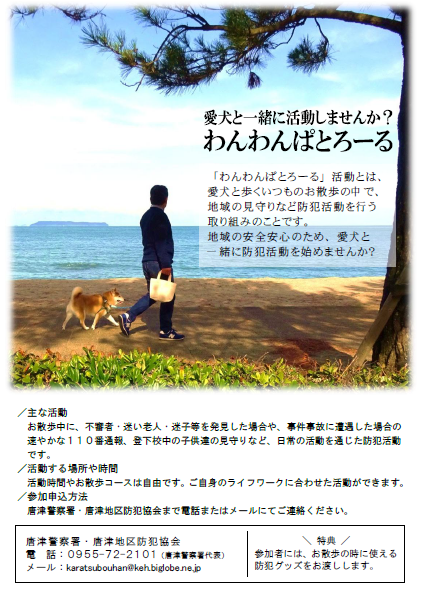 どんな活動？の画像