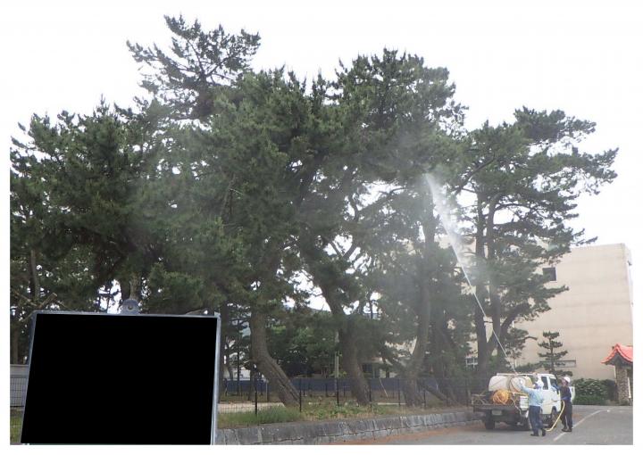 森林病害虫等防除事業費の画像1
