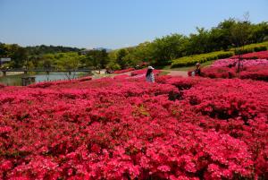 鏡山の画像3