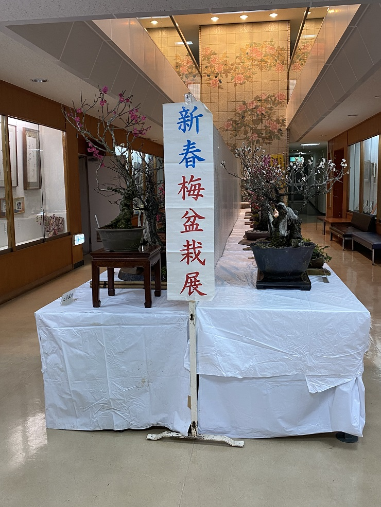 手塩にかけた盆栽